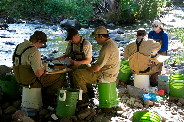 Playing the Role of a Fish Biologist for One Day – The Fisheries Blog