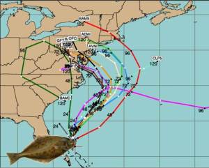 Halibut forecasting models help account for uncertainty, just like hurricane modeling.