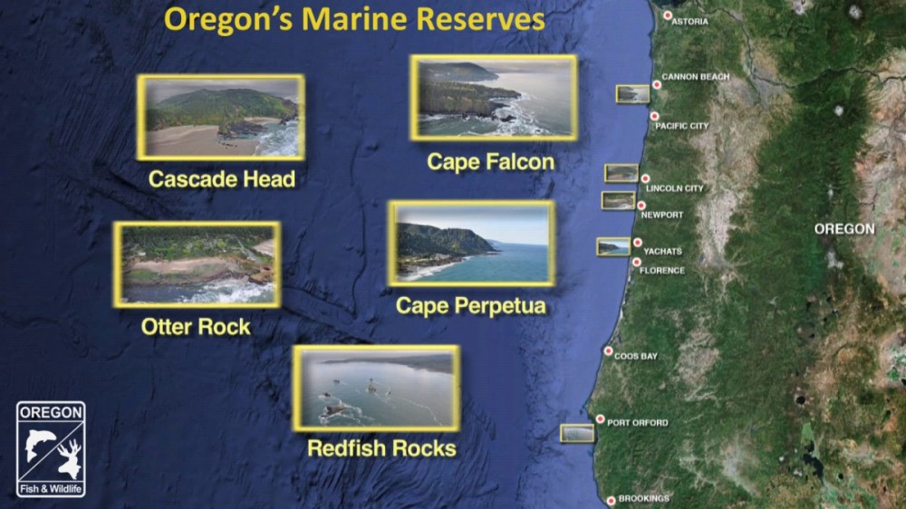 MarineReservesnapshotwithodfwlogo