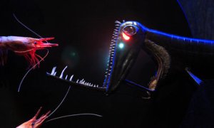 Decked out in red AND green! (nj.com/news)