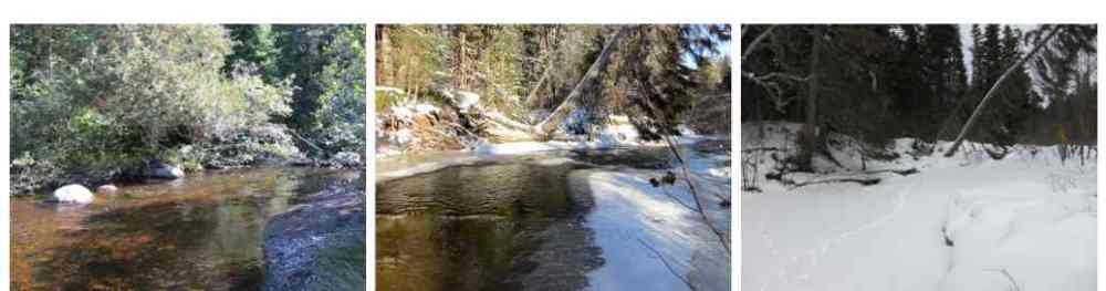 Studying our system during the open-water period only gives us half the story... There’s more going on under the ice than meets the eye!