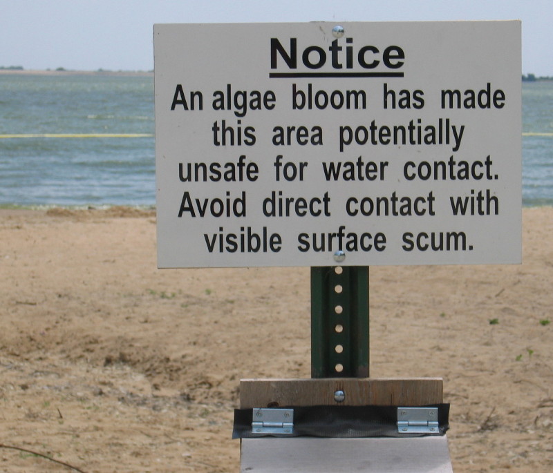 AlgaeBloomSign_MarionReservoirKS_003_lJenniferLGraham_USGS