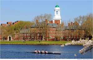 Getting into one of the most prestigious schools in the world looks pretty common compared to a shark attack (shutterstock).