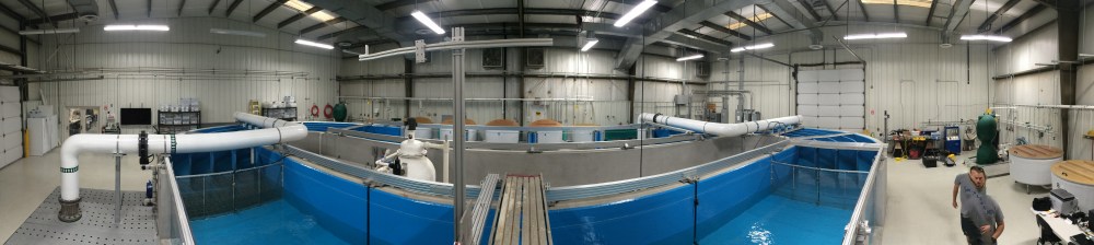 30,000 gallon high-velocity flume operated by the US Army Corps of Engineers (Source: Steve Midway)