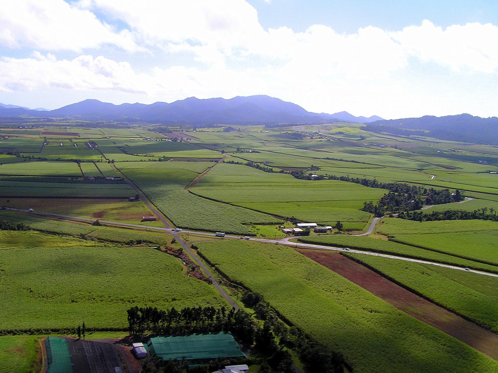 Roads criss-crossing a tropical Australian landscape. Photo credit: Stephanie Januchowski-Hartley