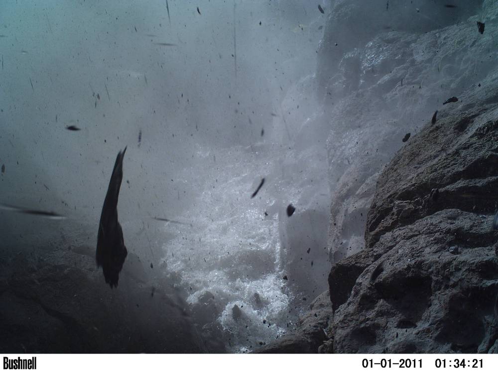 M2E94L245-244R361B344