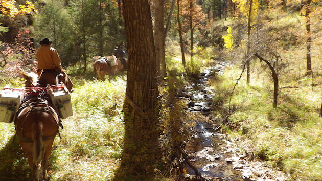 South Diamond repatriation (1)