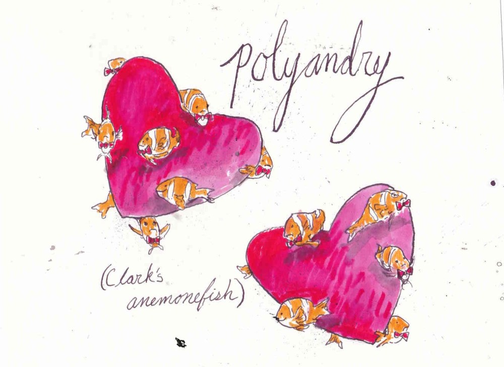 polyandryfish