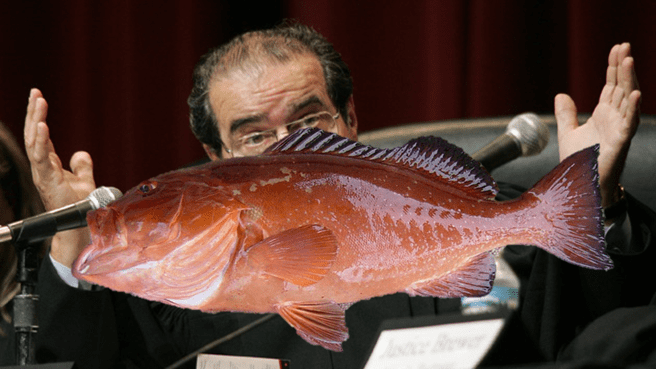 Are fish “tangible objects”? To you, the answer to the above question may seem simple. However, as you are about to find out, the answer to this question was an incredibly complicated issue for a Florida fisherman and the seven Supreme Court Justices.