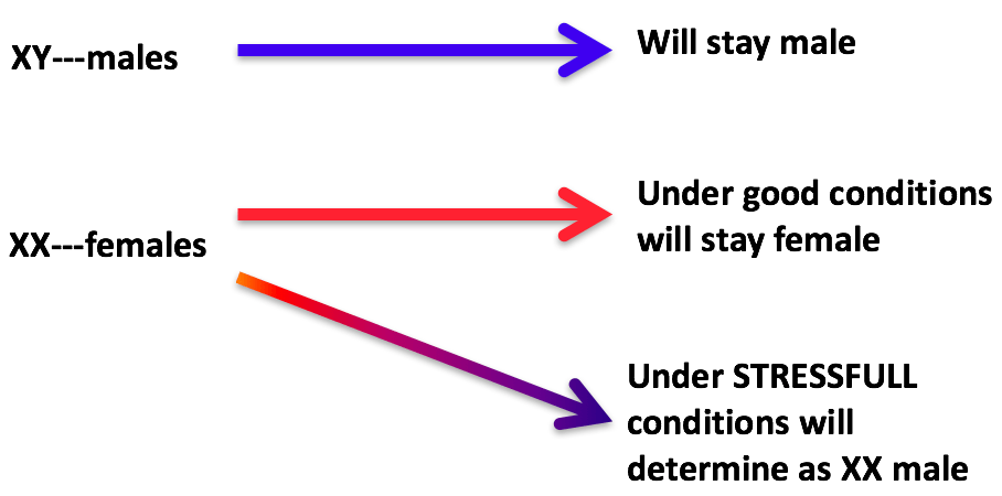 Screen Shot 2016-04-24 at 9.13.44 PM.png