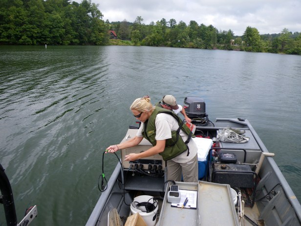 water quality on lake julian
