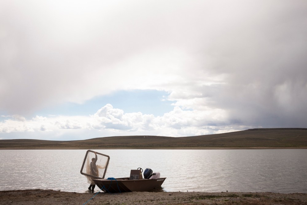 preparing-to-sample-lahontan-trout