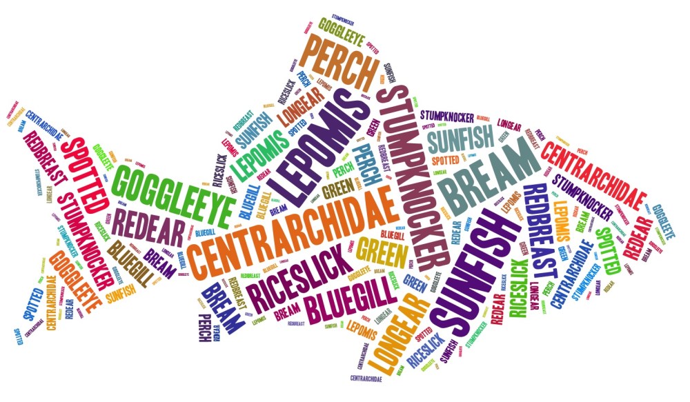 sunfish-word-cloud