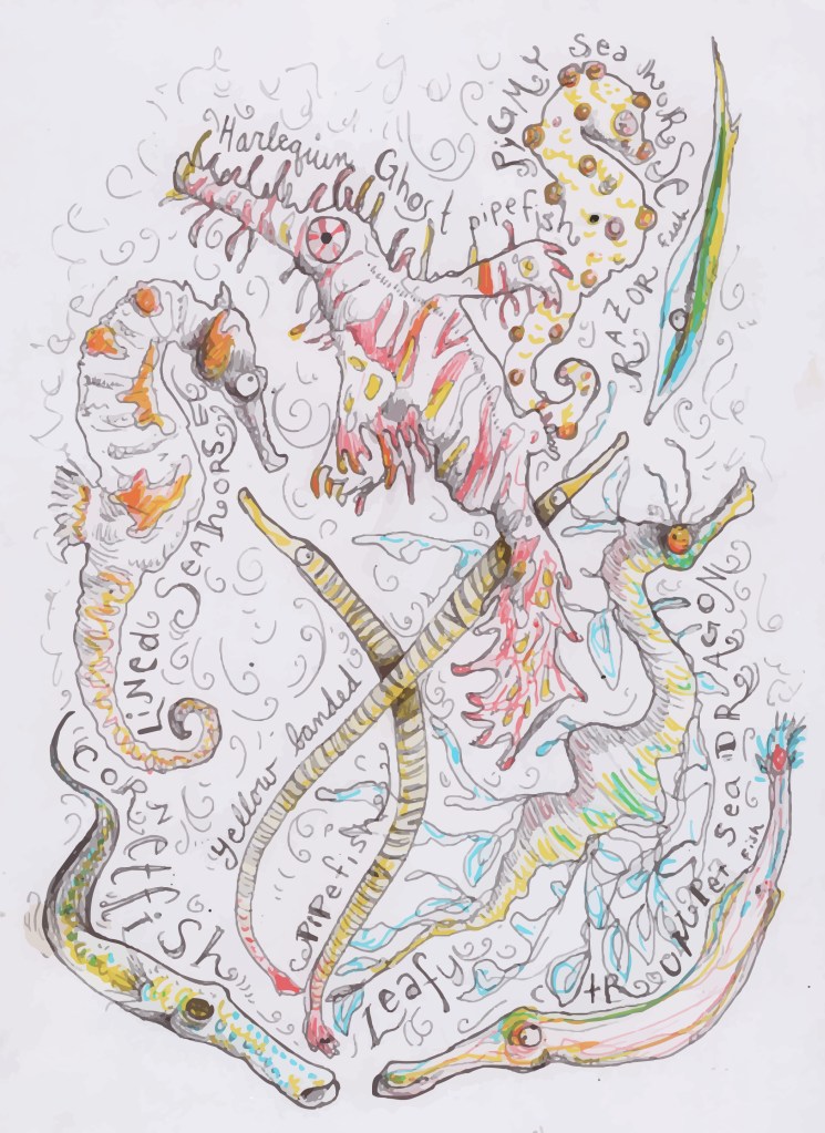 Pipeworks by The Fisheries Blog artist, Hannah Dean