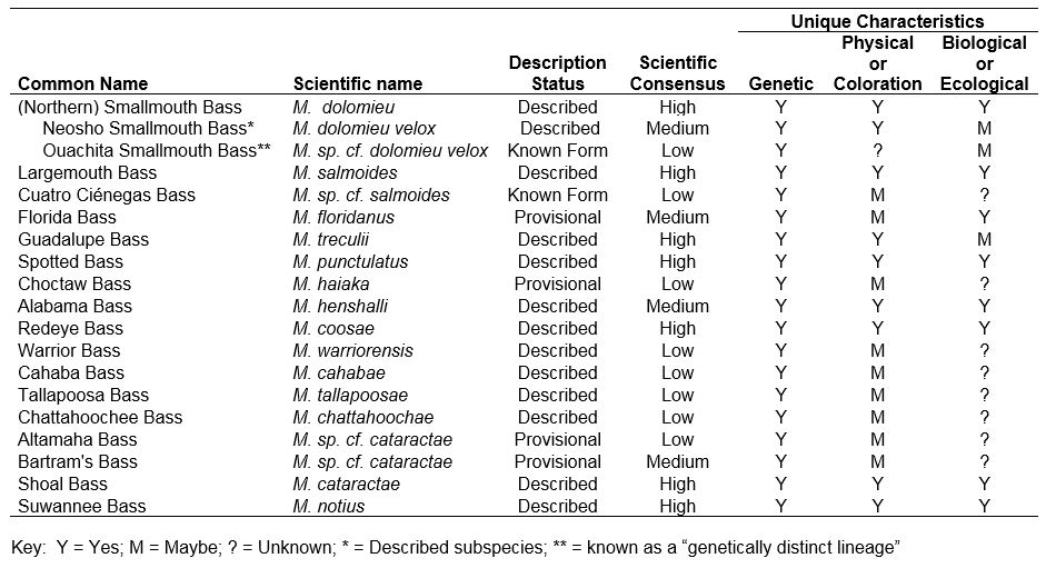 state-of-black-bass-diversity