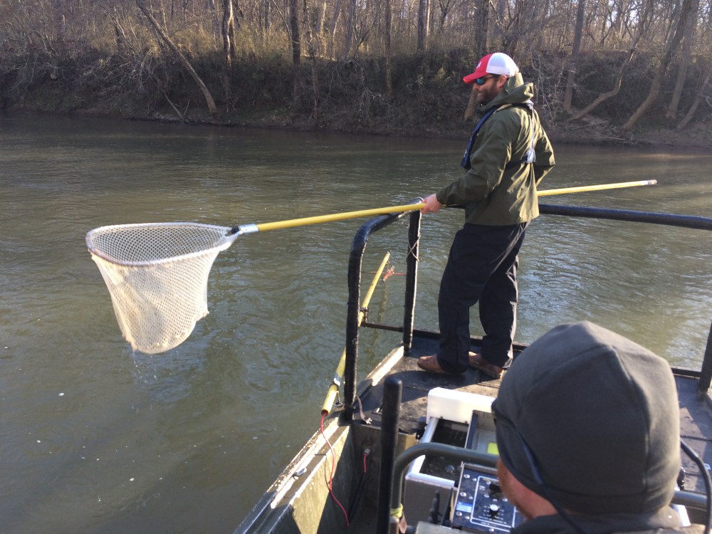 Electrofishing
