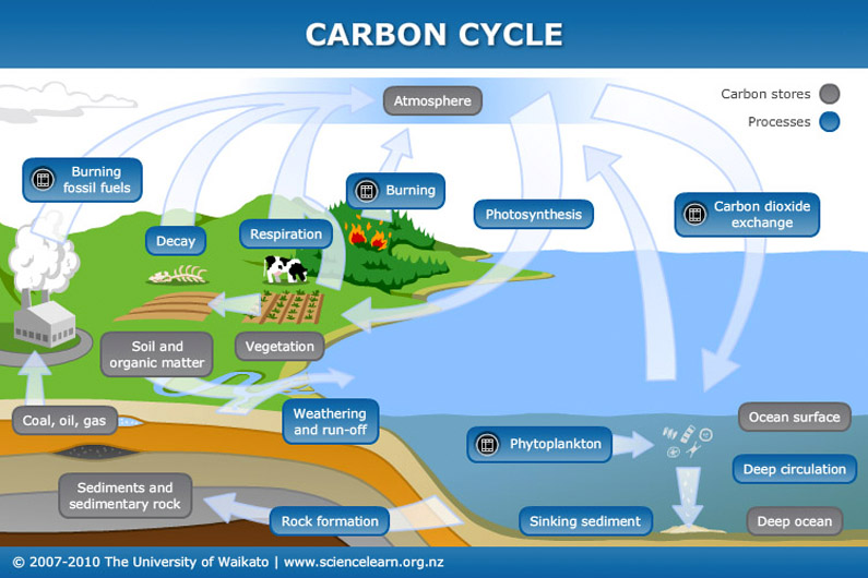 Carbon-cycle20160930-22732-cmhfg2
