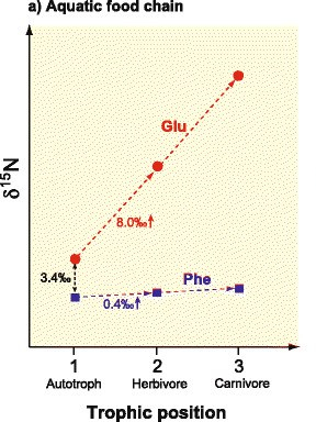 Figure-10-A-schematic-diagram-showing-the-relationship-between-trophic-level-and-d-15-N.png