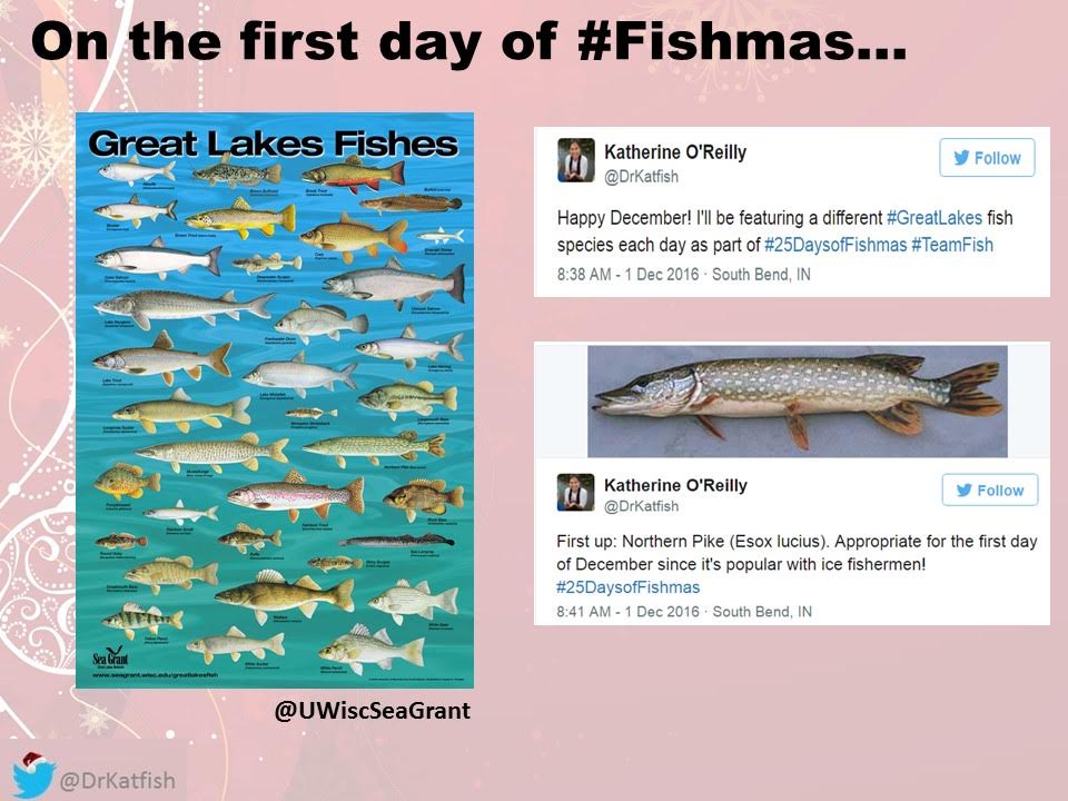 FISHBLOG - Fishmas 1 - Great Lakes
