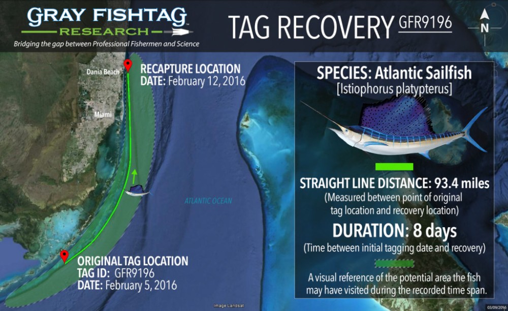 GFR9196-Atlantic-Sailfish-Recovery-1024x627