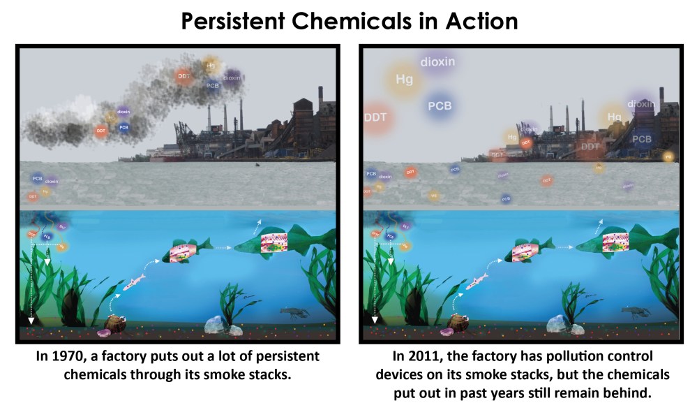 PERSISTENT_CHEMICALS_IN_ACTION_354013_7