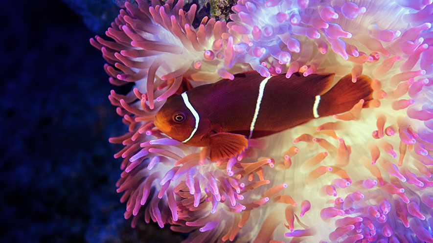 david-clode-533372-unsplash