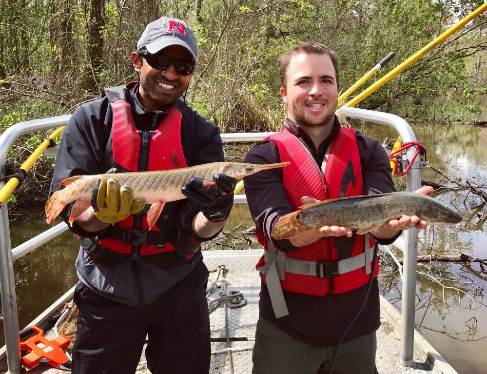 FISHBLOG - WFMD - Spotted Gar &amp; Bowfin