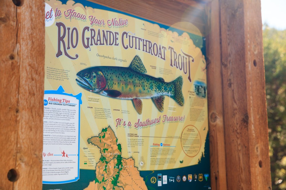 Rio Grande Cutthroat Trout Sign