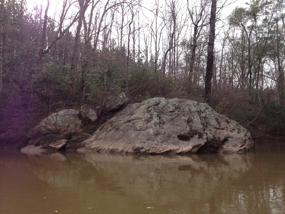 FISHBLOG - Cottrell 2