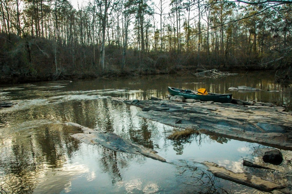 FISHBLOG - Cottrell 3