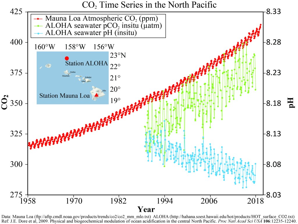 Hawaii Carbon Dioxide Time-Series