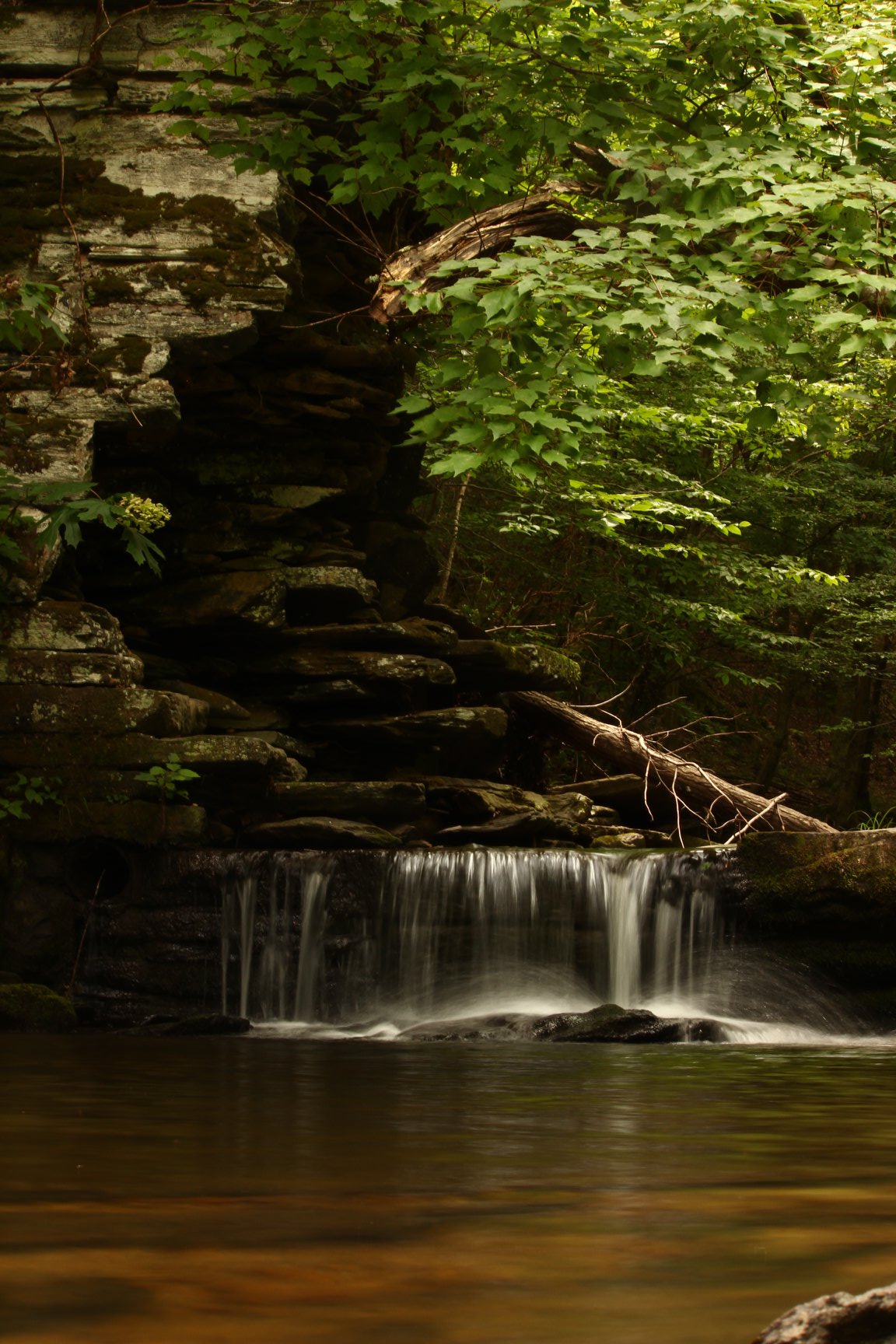 A Beginner’s Guide to Blue Lining – The Fisheries Blog