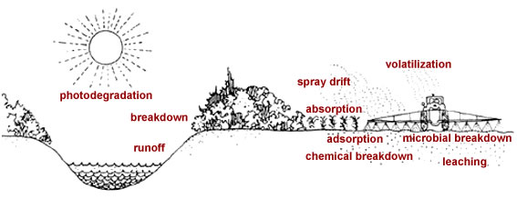 Pesticide Inversion Biopesticides: a potential solution to healthier aquatic ecosystems ...