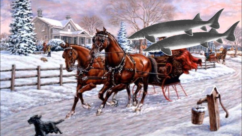 Two sturgeon on a sleigh ride